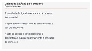 Qualidade da Água para Bezerros
Desmamados:
A qualidade da água fornecida aos bezerros é
fundamental.
A água deve ser limpa, livre de contaminação e
sempre disponível.
A falta de acesso à água pode levar à
desidratação e afetar negativamente o consumo
de alimentos.
 