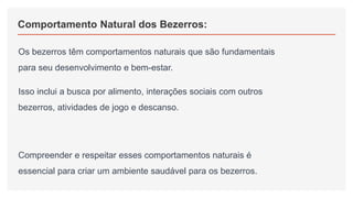 Comportamento Natural dos Bezerros:
Os bezerros têm comportamentos naturais que são fundamentais
para seu desenvolvimento e bem-estar.
Isso inclui a busca por alimento, interações sociais com outros
bezerros, atividades de jogo e descanso.
Compreender e respeitar esses comportamentos naturais é
essencial para criar um ambiente saudável para os bezerros.
 