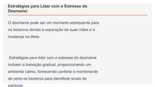 Estratégias para Lidar com o Estresse do
Desmame:
O desmame pode ser um momento estressante para
os bezerros devido à separação de suas mães e à
mudança na dieta.
Estratégias para lidar com o estresse do desmame
incluem a transição gradual, proporcionando um
ambiente calmo, fornecendo conforto e monitorando
de perto os bezerros para identificar sinais de
estresse.
 