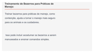 Treinamento de Bezerros para Práticas de
Manejo:
Treinar bezerros para práticas de manejo, como
contenção, ajuda a tornar o manejo mais seguro
para os animais e os cuidadores.
Isso pode incluir acostumar os bezerros a serem
manuseados e ensinar comandos simples.
 