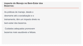 impacto do Manejo no Bem-Estar dos
Bezerros:
As práticas de manejo, desde o
desmame até a socialização e o
treinamento, têm um impacto direto no
bem-estar dos bezerros.
Cuidados adequados promovem
bezerros mais saudáveis e felizes.
 