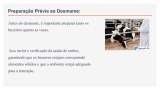 Preparação Prévia ao Desmame:
Antes do desmame, é importante preparar tanto os
bezerros quanto as vacas.
Isso inclui a verificação da saúde de ambos,
garantindo que os bezerros estejam consumindo
alimentos sólidos e que o ambiente esteja adequado
para a transição.
 