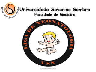 Universidade Severino Sombra Faculdade de Medicina LIGA DE NEONATOLOGIA  