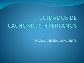 PAOLA ANDREA PAIPA ORTIZ
 