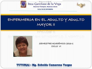FACULTAD DE ENFERMERÍA
TUTOR(A) : Mg. Zobeida Camarena Vargas
SEMESTRE ACADÉMICO: 2016-1
CICLO VI
 