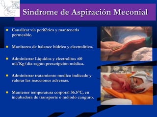 Sindrome de Aspiración Meconial Canalizar vía periférica y mantenerla permeable. Monitoreo de balance hídrico y electrolítico. Administrar Líquidos y electrolitos :60 ml/Kg/día según prescripción médica. Administrar tratamiento medico indicado y valorar las reacciones adversas. Mantener temperatura corporal 36.5°C, en incubadora de transporte o método canguro. 