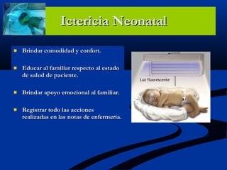 Ictericia Neonatal Brindar comodidad y confort. Educar al familiar respecto al estado de salud de paciente. Brindar apoyo emocional al familiar. Registrar todo las acciones realizadas en las notas de enfermería. 