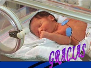 GRACIAS 