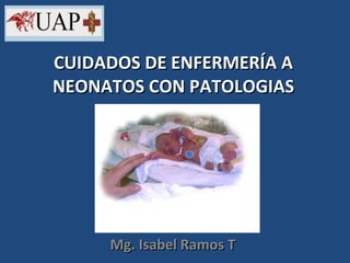 CUIDADOS DE ENFERMERÍA A NEONATOS CON PATOLOGIAS Mg. Isabel Ramos T 
