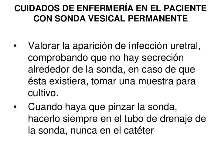 cuidados de sonda foley pdf