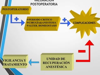 Cuidados de enfermería en el postoperatorio | PPTX
