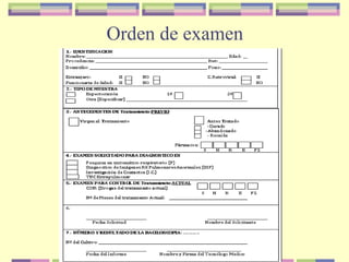 Orden de examen
 
