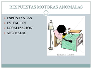 RESPUESTAS MOTORAS ANOMALAS

 ESPONTANEAS
 EVITACION
 LOCALIZACION
 ANOMALAS
 