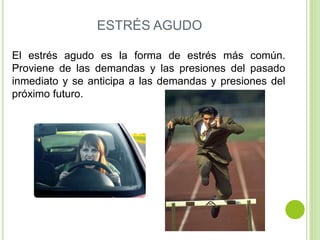 ESTRÉS AGUDO
El estrés agudo es la forma de estrés más común.
Proviene de las demandas y las presiones del pasado
inmediato y se anticipa a las demandas y presiones del
próximo futuro.
 