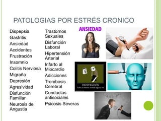 PATOLOGIAS POR ESTRÉS CRONICO
Dispepsia
Gastritis
Ansiedad
Accidentes
Frustración
Insomnio
Colitis Nerviosa
Migraña
Depresión
Agresividad
Disfunción
Familiar
Neurosis de
Angustia
Trastornos
Sexuales
Disfunción
Laboral
Hipertensión
Arterial
Infarto al
Miocardio
Adicciones
Trombosis
Cerebral
Conductas
antisociales
Psicosis Severas
 