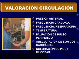  PRESIÓN ARTERIAL.
 FRECUENCIA CARDIACA.
 FRECUENCIA. RESPIRATORIA
 TEMPERATURA.
 PALPACIÓN DE PULSO
PERIFÉRICO.
 AUSCULTACION DE SONIDOS
CARDIÁCOS.
 COLORACIÓN DE PIEL Y
MUCOSAS.
VALORACIÓN CIRCULACIÓN
 