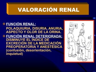 VALORACIÓN RENAL

 FUNCIÓN RENAL:
  POLAQUIURIA, DISURIA, ANURIA,
  ASPECTO Y OLOR DE LA ORINA.
 FUNCIÓN RENAL DETERIORADA:
  DISMINUYE EL ÍNDICE DE
  EXCRECIÓN DE LA MEDICACIÓN
  PREOPERATORIA Y ANESTÉSICA
  (confusión, desorientación,
  inquietud)
 