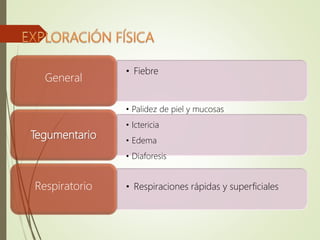 • Fiebre
General
• Palidez de piel y mucosas
• Ictericia
• Edema
• Diaforesis
Tegumentario
• Respiraciones rápidas y superficialesRespiratorio
 