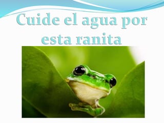 Cuidados del agua