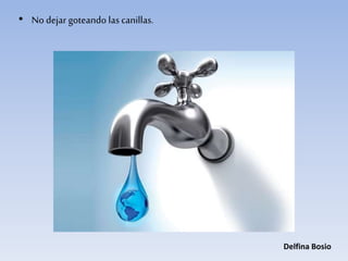 • No dejar goteando las canillas.
Delfina Bosio
 