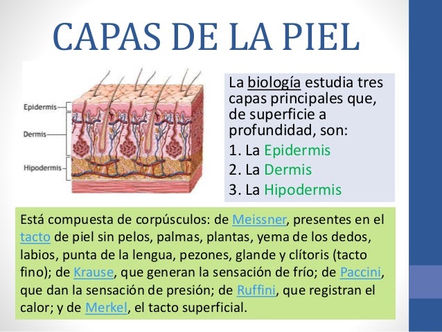 La crema de las manchas de pigmento yinni las revocaciones