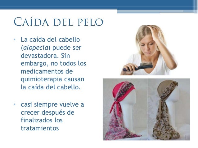 El champú de taylanda de la caída de los cabello