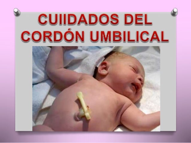 Cuidados Del Cordon Umbilical Cuidados Del Cordon Umbilical