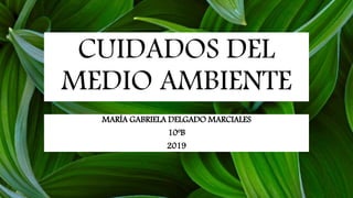 CUIDADOS DEL
MEDIO AMBIENTE
MARÍA GABRIELA DELGADO MARCIALES
10ºB
2019
 