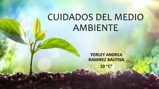 CUIDADOS DEL MEDIO
AMBIENTE
YORLEY ANDREA
RAMIREZ BAUTISA
10 “C”
 
