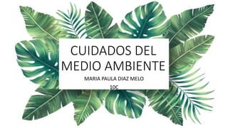 CUIDADOS DEL
MEDIO AMBIENTE
MARIA PAULA DIAZ MELO
10C
 
