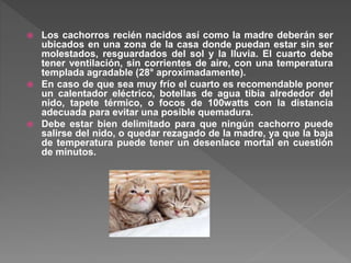  Los cachorros recién nacidos así como la madre deberán ser
ubicados en una zona de la casa donde puedan estar sin ser
molestados, resguardados del sol y la lluvia. El cuarto debe
tener ventilación, sin corrientes de aire, con una temperatura
templada agradable (28° aproximadamente).
 En caso de que sea muy frío el cuarto es recomendable poner
un calentador eléctrico, botellas de agua tibia alrededor del
nido, tapete térmico, o focos de 100watts con la distancia
adecuada para evitar una posible quemadura.
 Debe estar bien delimitado para que ningún cachorro puede
salirse del nido, o quedar rezagado de la madre, ya que la baja
de temperatura puede tener un desenlace mortal en cuestión
de minutos.
 