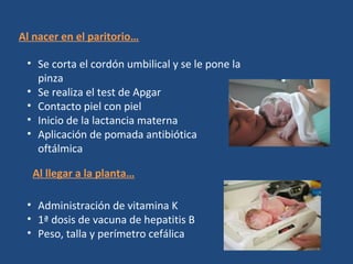 Cuidados e higiene del recién nacido 👶🏻 — Pediatra En Familia