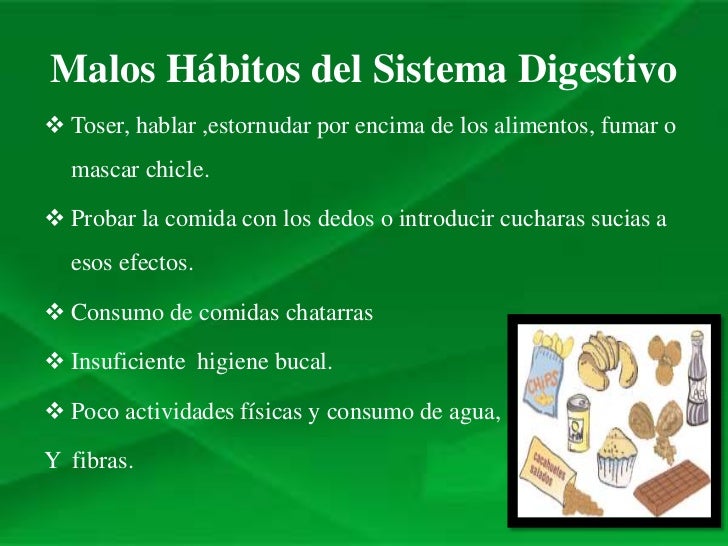 Cuidados del sistema digestivo Slide 11