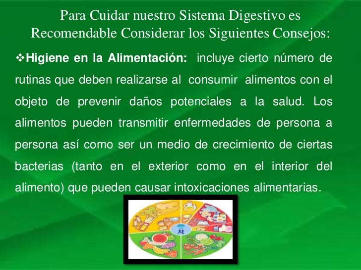 Cuidados del sistema digestivo Slide 3