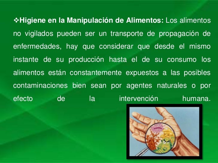 Cuidados del sistema digestivo Slide 4