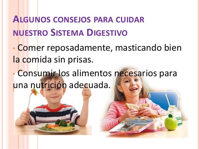Cuidados del sistema digestivo