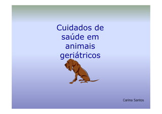 Cuidados de
 saúde em
  animais
     i   i
 geriátricos




               Carina Santos
 