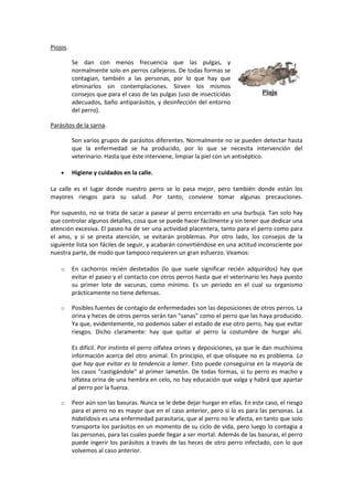 Cuidados de un perro