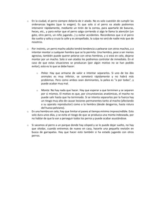 Cuidados de un perro