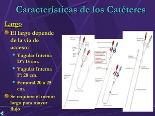 cuidadosenaccesosvascularesupch-150226162345-conversion-gate01 (1).pdf