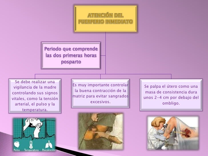 cuidados en el embarazo por gabriela tipantuña que esta bebiendo su hijo