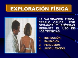 1. INSPECCIÓN.
2. PALPACIÓN.
3. PERCUSIÓN.
4. AUSCULTACIÓN.
EXPLORACIÓN FÍSICA
LA VALORACION FÍSICA:
CÉFALO CAUDAL, POR
ÓRGANOS Y SISTEMAS
MEDIANTE EL USO DE
LOS TÉCNICAS:
 