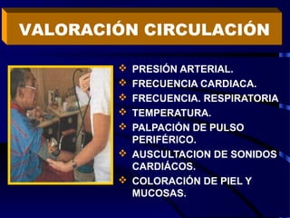  PRESIÓN ARTERIAL.
 FRECUENCIA CARDIACA.
 FRECUENCIA. RESPIRATORIA
 TEMPERATURA.
 PALPACIÓN DE PULSO
PERIFÉRICO.
 AUSCULTACION DE SONIDOS
CARDIÁCOS.
 COLORACIÓN DE PIEL Y
MUCOSAS.
VALORACIÓN CIRCULACIÓN
 