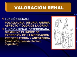 FUNCIÓN RENAL:
POLAQUIURIA, DISURIA, ANURIA,
ASPECTO Y OLOR DE LA ORINA.
FUNCIÓN RENAL DETERIORADA:
DISMINUYE EL ÍNDICE DE
EXCRECIÓN DE LA MEDICACIÓN
PREOPERATORIA Y ANESTÉSICA
(confusión, desorientación,
inquietud)
VALORACIÓN RENAL
 