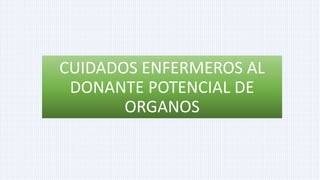 CUIDADOS ENFERMEROS AL
DONANTE POTENCIAL DE
ORGANOS
 