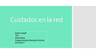 Cuidados en la red
Sofía Castell
7D3
Informática
Colegio Andino-Deutsche Schule
2016-2017
 