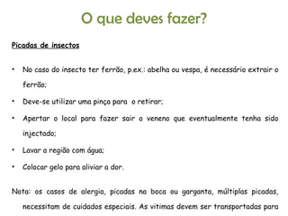 Picadas de insectos No caso do insecto ter ferrão, p.ex.: abelha ou vespa, é necessário extrair o ferrão; Deve-se utilizar uma pinça para  o retirar; Apertar o local para fazer sair o veneno que eventualmente tenha sido injectado; Lavar a região com água; Colocar gelo para aliviar a dor. Nota: os casos de alergia, picadas na boca ou garganta, múltiplas picadas, necessitam de cuidados especiais. As vitimas devem ser transportadas para o hospital ou centro de saúde. O que deves fazer? 