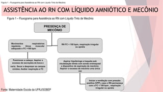 ASSISTÊNCIA AO RN COM LÍQUIDO AMNIÓTICO E MECÔNIO
Figura 1 – Fluxograma para Assistência ao RN com Líquido Tinto de Mecônio
PRESENÇA DE
MECÔNIO
Movimentos respiratórios
regulares, tônus muscular
adequado e FC >100 bpm
RN FC < 100 bpm, respiração irregular
ou apnéia
Posicionar a cabeça; Aspirar o
excesso de secreções da boca e
nariz; Secar e desprezar os campos
úmidos; Avaliar respiração e FC
Aspirar hipofaringe e traquéia sob
visulaização direta com sonda orotraqueal
e dispositivo de aspiração de mecônio;
Aspirar o excesso de mecônio uma única
vez
Iniciar a ventilação com pressão
positiva (VPP), caso o RN permaneça
com a FC < 100 bpm , respiração
irregular ou apnéia
Figura 1 – Fluxograma para Assistência ao RN com Líquido Tinto de Mecônio
Fonte: Maternidade Escola da UFRJ/SOBEP
 