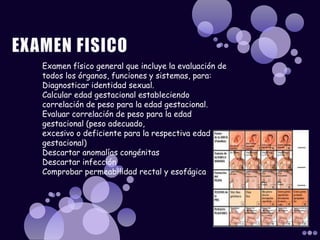 Examen físico general que incluye la evaluación de 
todos los órganos, funciones y sistemas, para: 
Diagnosticar identidad sexual. 
Calcular edad gestacional estableciendo 
correlación de peso para la edad gestacional. 
Evaluar correlación de peso para la edad 
gestacional (peso adecuado, 
excesivo o deficiente para la respectiva edad 
gestacional) 
Descartar anomalías congénitas 
Descartar infección 
Comprobar permeabilidad rectal y esofágica 
 