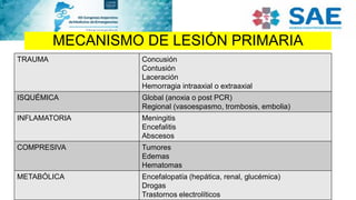 MECANISMO DE LESIÓN PRIMARIA
TRAUMA Concusión
Contusión
Laceración
Hemorragia intraaxial o extraaxial
ISQUÉMICA Global (anoxia o post PCR)
Regional (vasoespasmo, trombosis, embolia)
INFLAMATORIA Meningitis
Encefalitis
Abscesos
COMPRESIVA Tumores
Edemas
Hematomas
METABÓLICA Encefalopatía (hepática, renal, glucémica)
Drogas
Trastornos electrolíticos
 